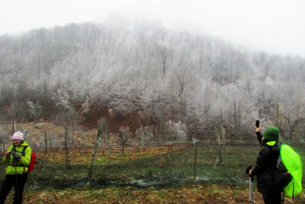 Gvozdačke stene