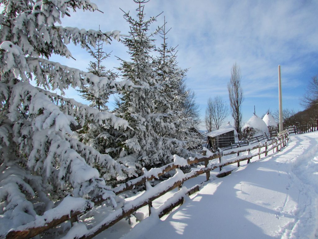 Povlen