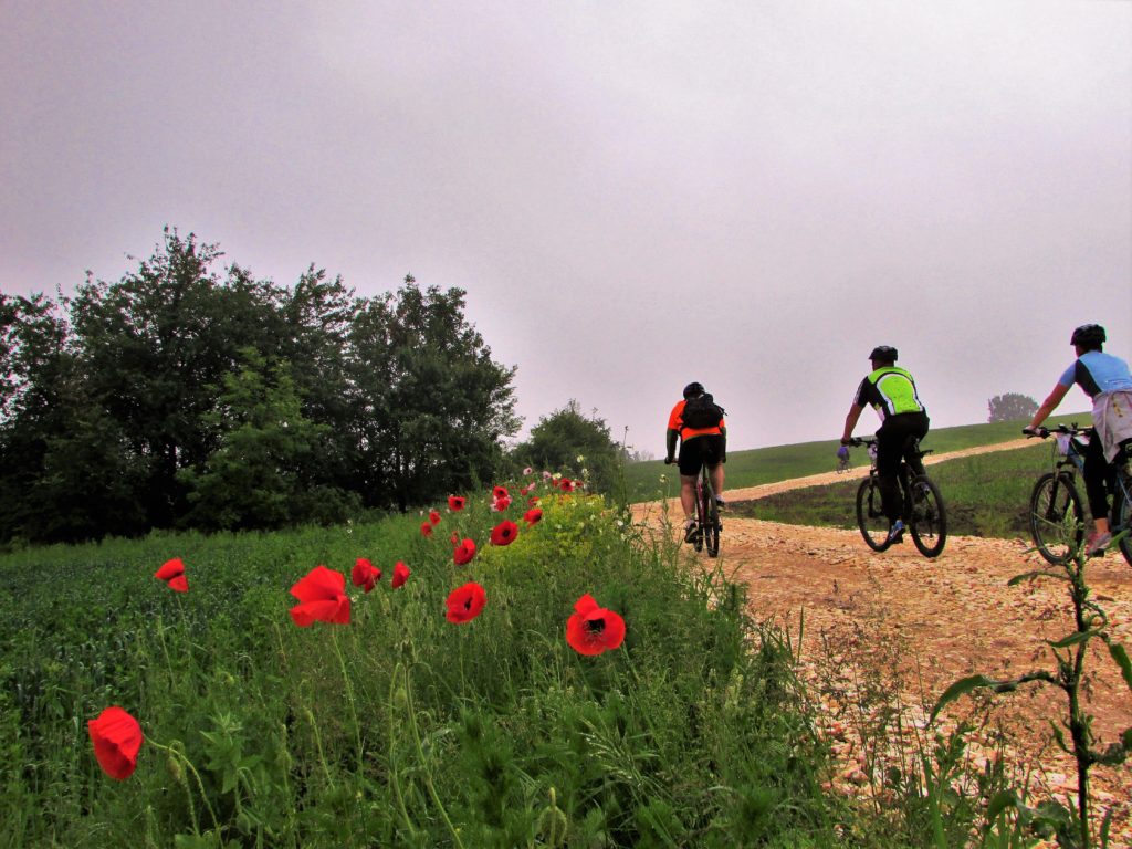 MTB Baberijus - Ralja