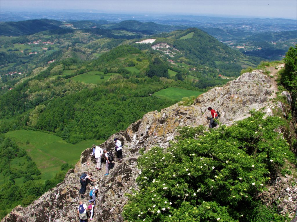 Ostrvica