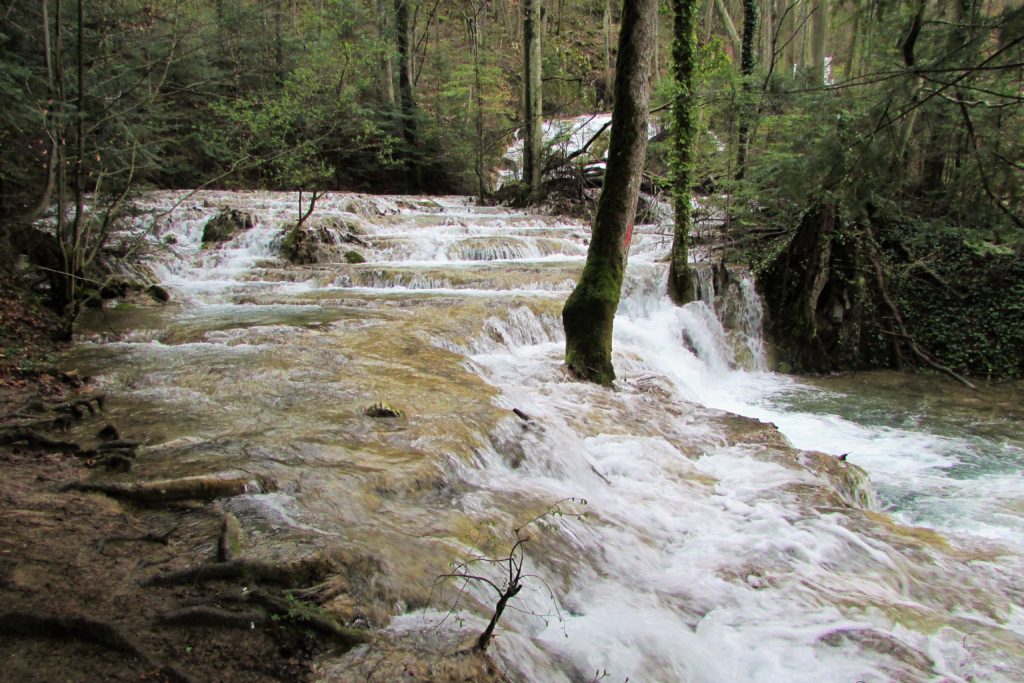 Valea Beusnita