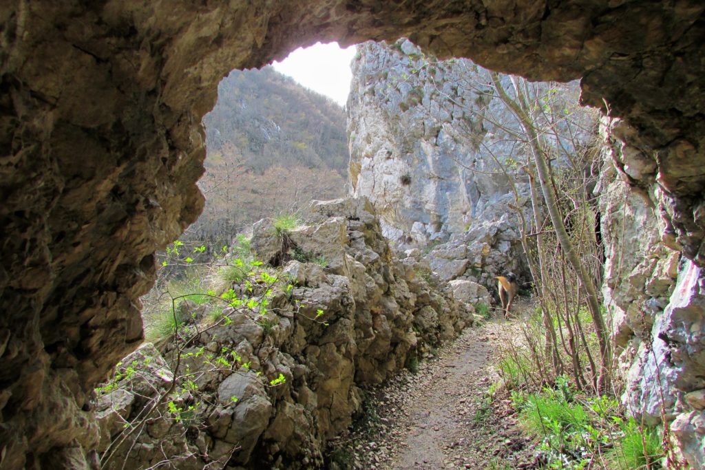 Tuneli isklesani u stenama u kanjonu Nere