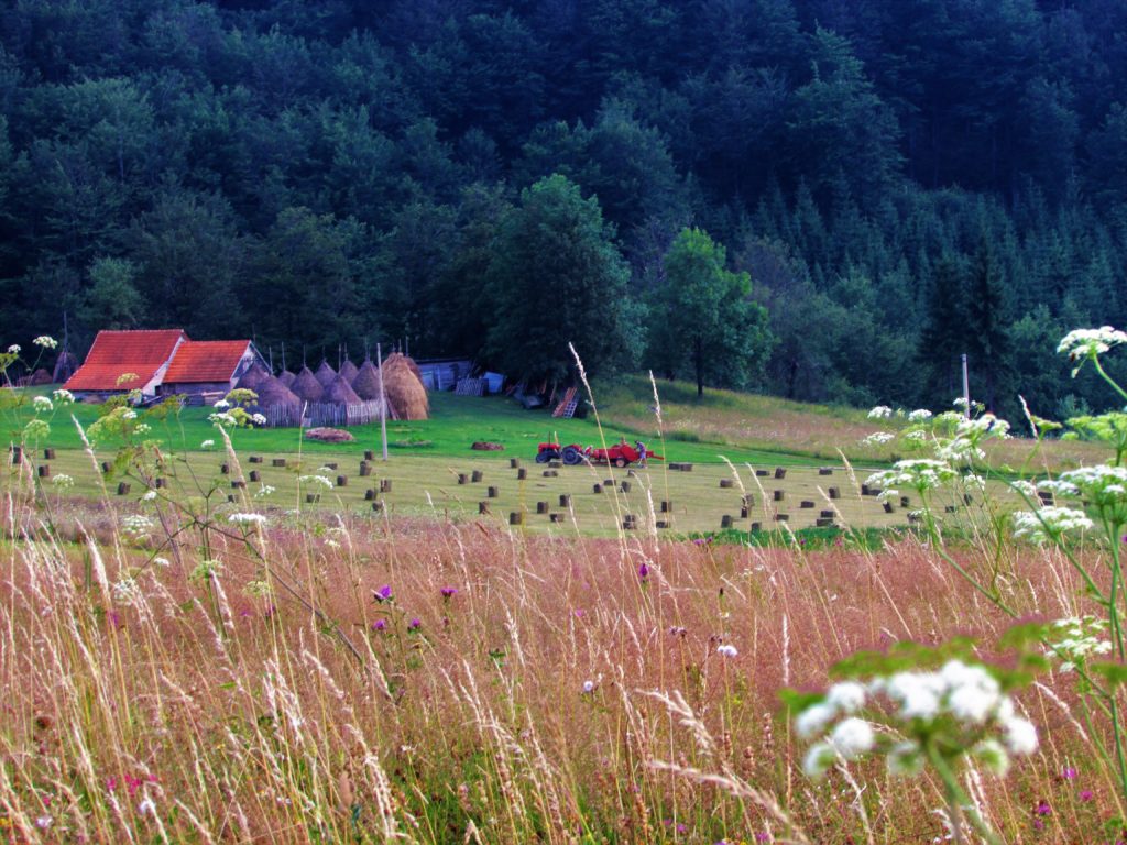Povlen