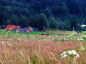 Povlen