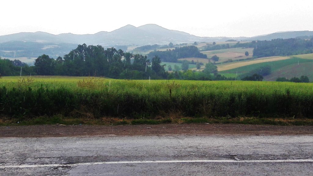 Kiša, a mi u radnji čekamo da prođe