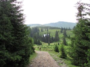 Blagi spust do jezera Kuntu i prve meteo-stanice na 1450 mnv