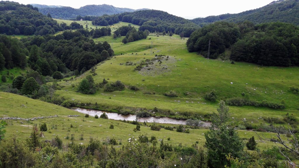 Reka Bukovica, jedna od tri šavničke reke