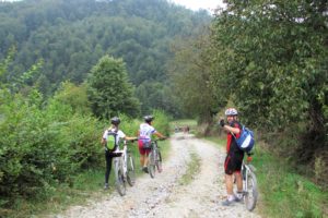 Kroz šljivike i livade: foto ZvoNcara