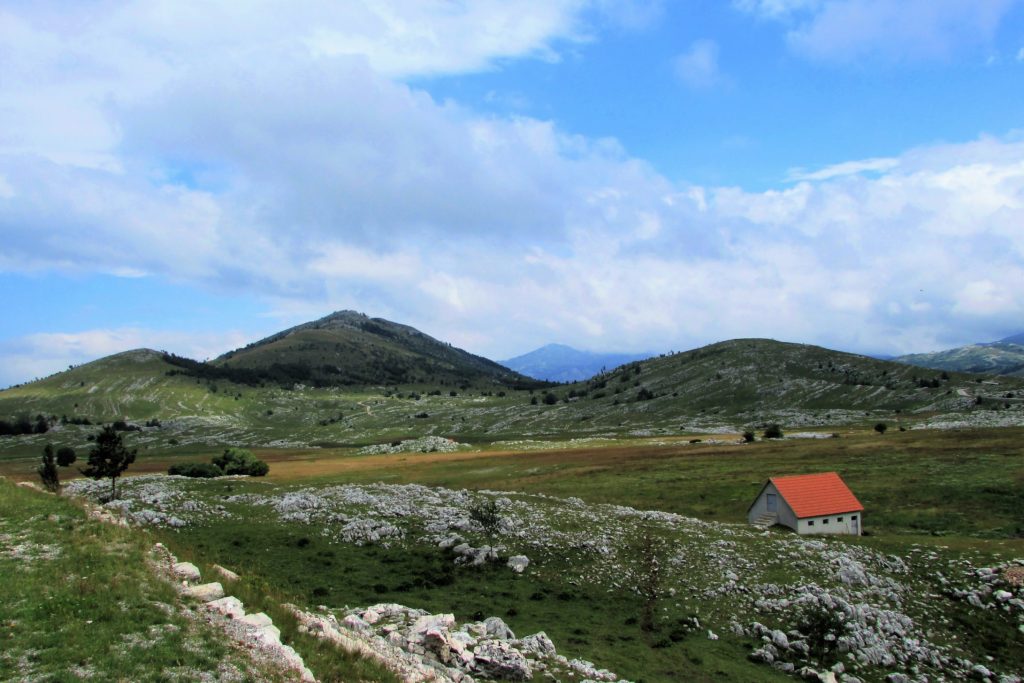 Krnovo