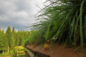 Krov katuna sa busenjem zemlje i trave
