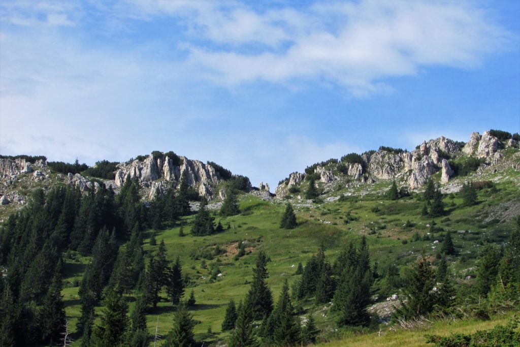 Rajska vrata