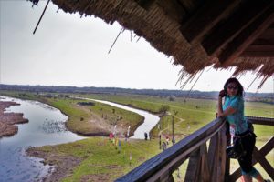 Specijalni rezervat prirode Zasavica