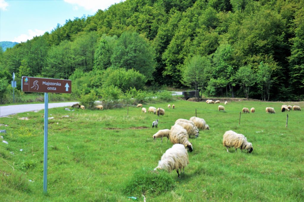 Skretanje za Majstorsku cestu