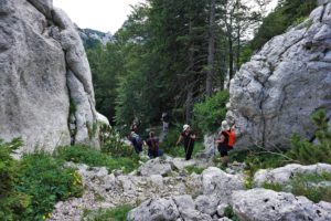 Rožanski kukovi, Severni Velebit