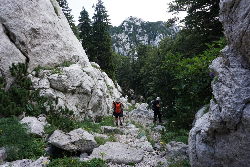 Rožanski kukovi, Severni Velebit