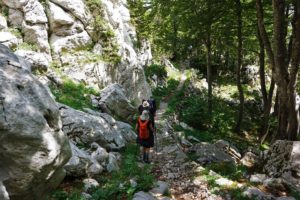 Rožanski kukovi, Severni Velebit
