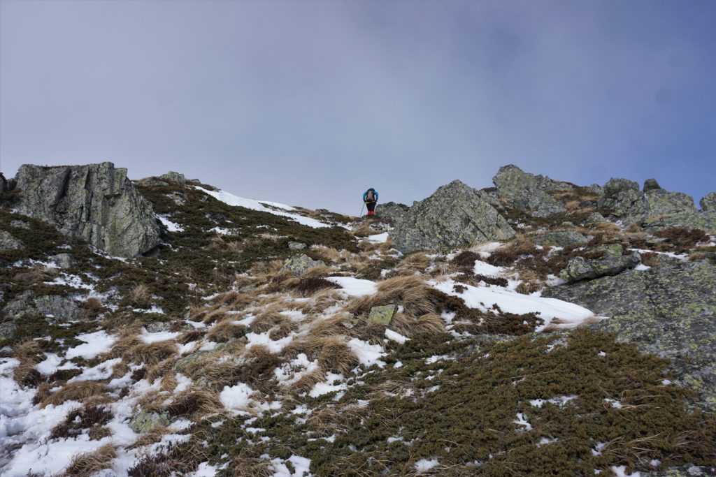 Stara planina - na putu od Midžora prema vrhu Dupljak