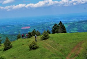 Divčibare mtb avantura 2020