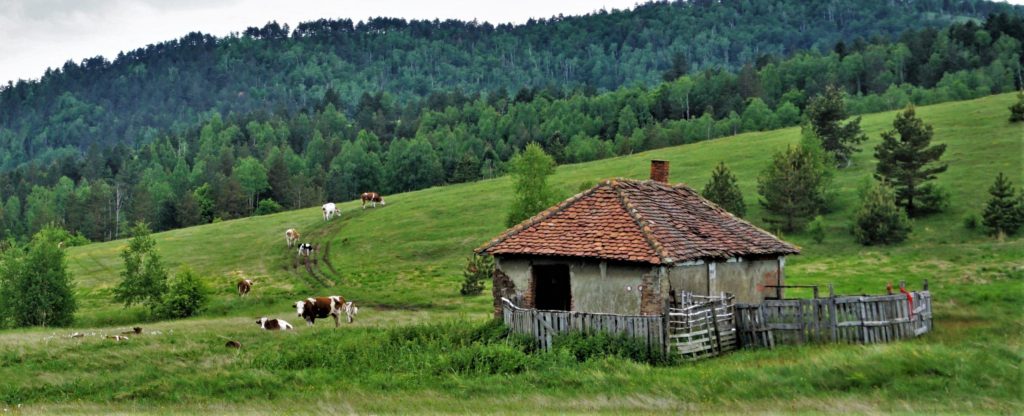 Divčibare mtb avantura 2020