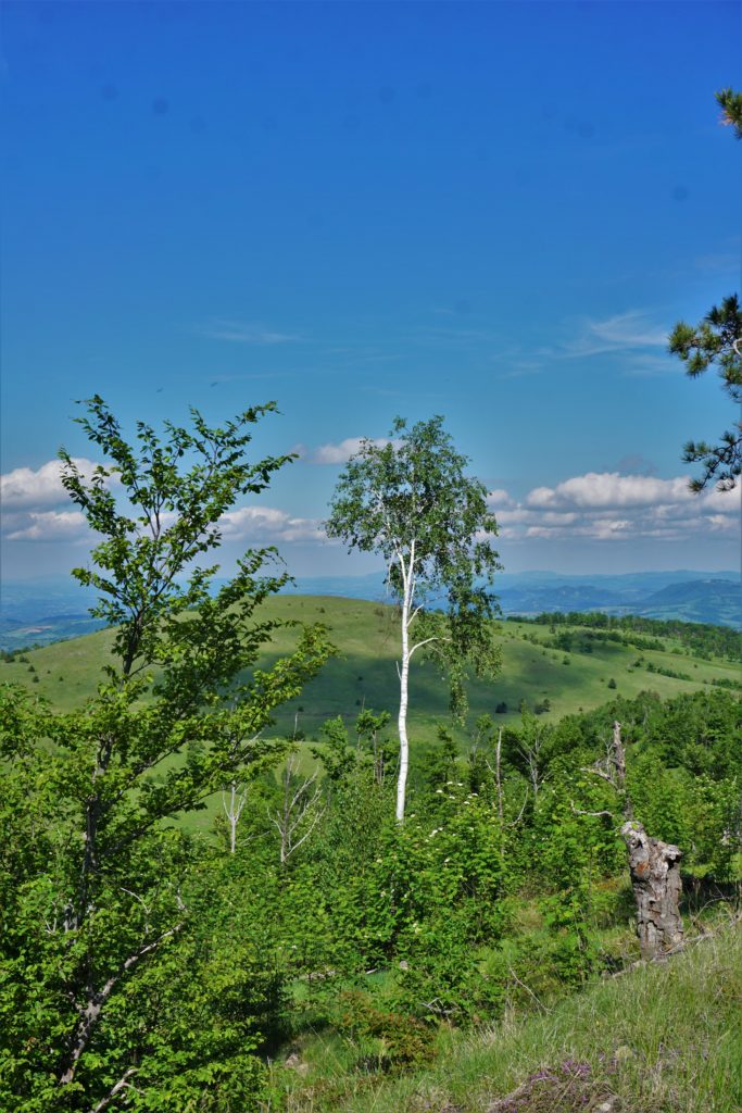 Divčibare mtb avantura 2020
