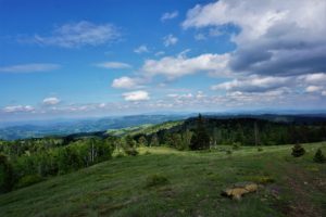 Divčibare mtb avantura 2020