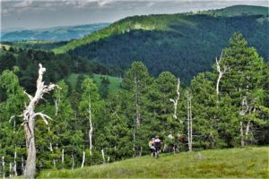 Divčibare mtb avantura 2020