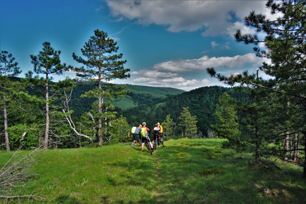 Divčibare mtb avantura 2020