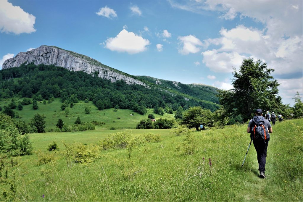 Borski Stol