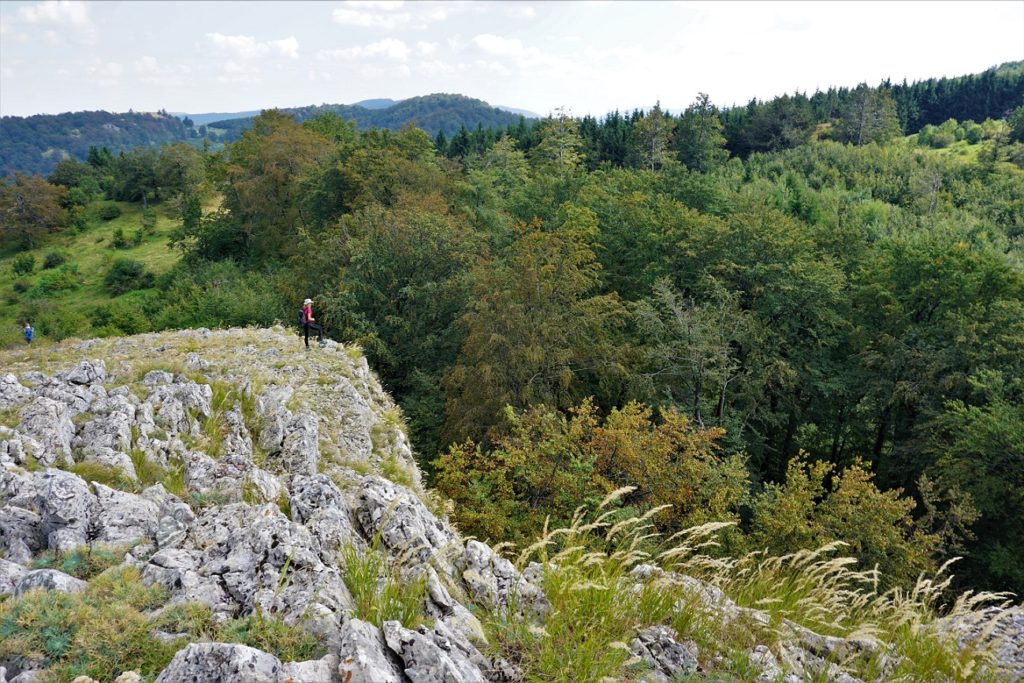 Vrh Stenjkin kamen, Beljanica