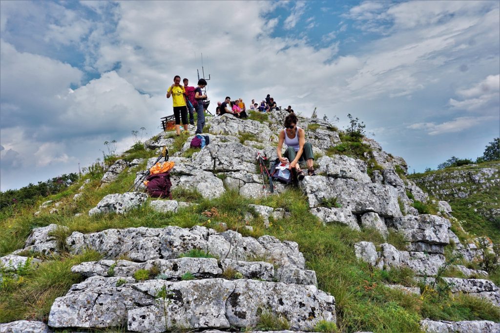 Basarski kamen (1376 mnv), Vidlič planina