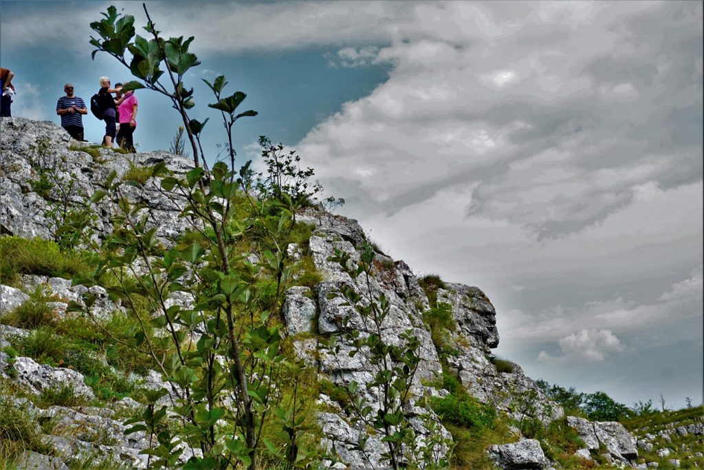 Basarski kamen (1376 mnv), Vidlič planina