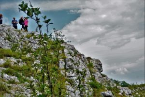 Basarski kamen (1376 mnv), Vidlič planina