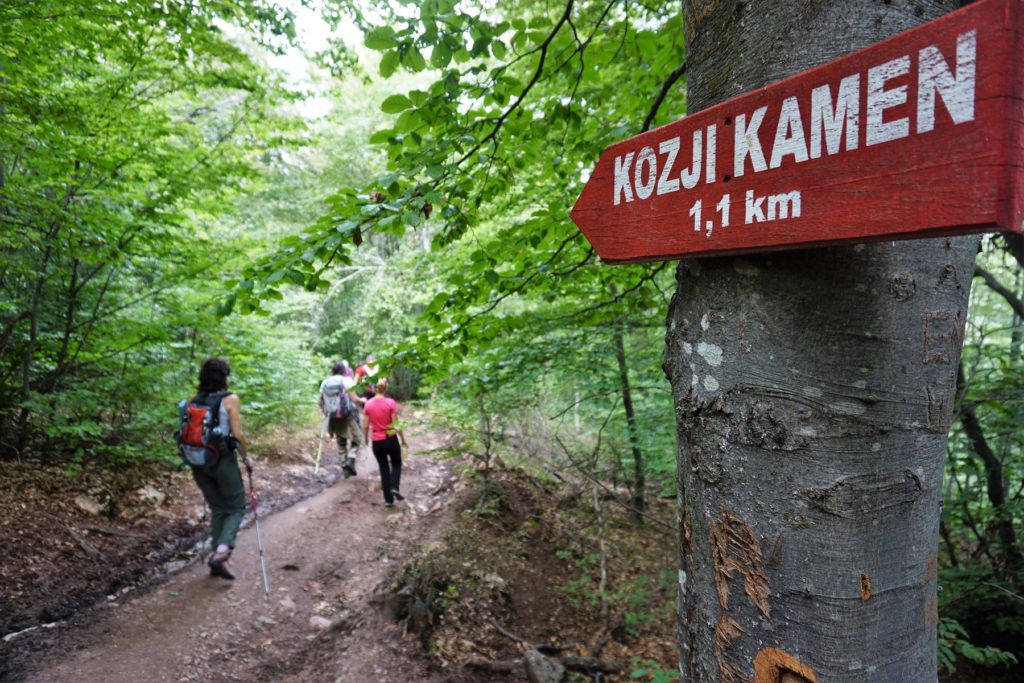 Staza kroz šumu na putu za vrh i vidikovac Kozji kamen