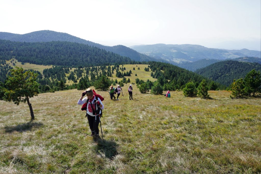 Ozren, ,Pešter