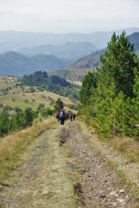Ozren planina, Pešter