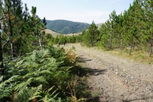 Ozren planina, Pešter
