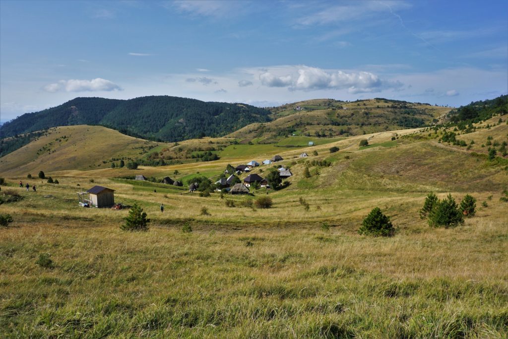 Tičije polje