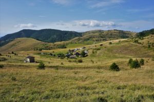 Tičije polje
