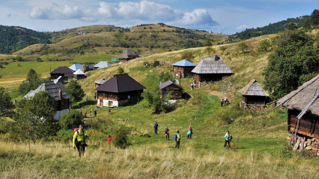 Tičije polje