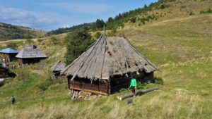 Tičije polje