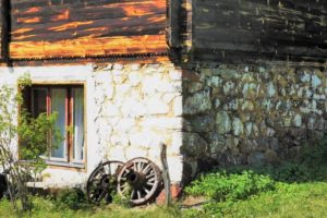 Tičije polje