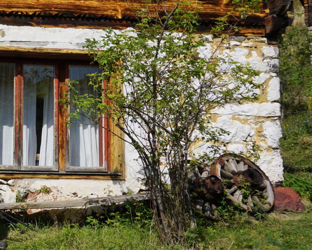 Tičije polje