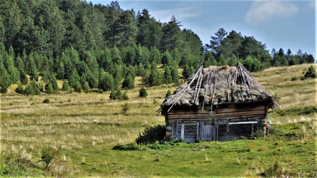 Tičije polje