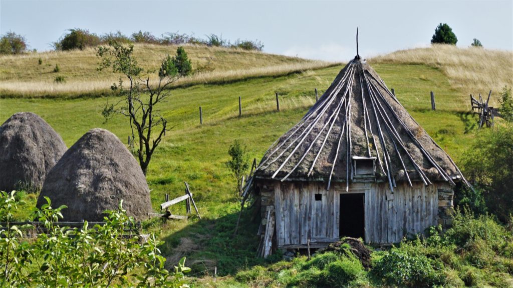 Tičje polje