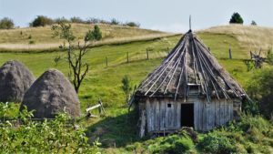 Tičije polje
