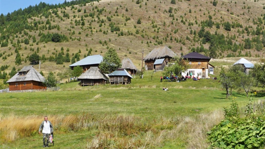 Tičije polje