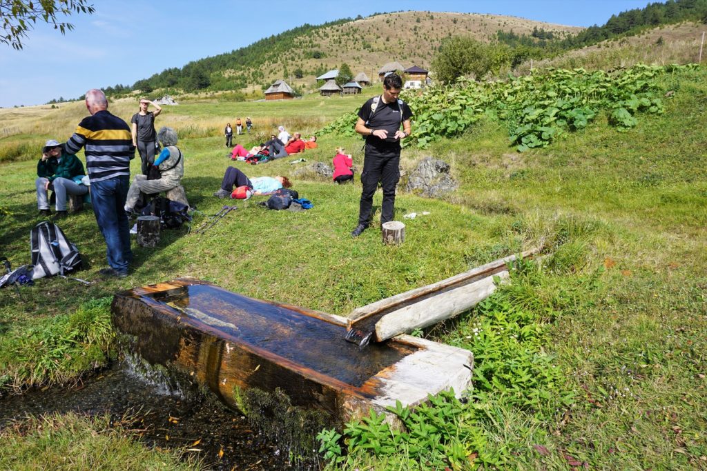 Tičije polje