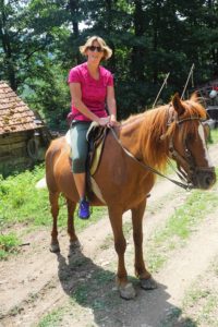 Ilijina ergela konja, Pavino Polje