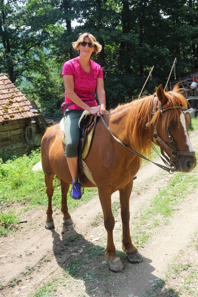 Ilijina ergela konja, Pavino Polje
