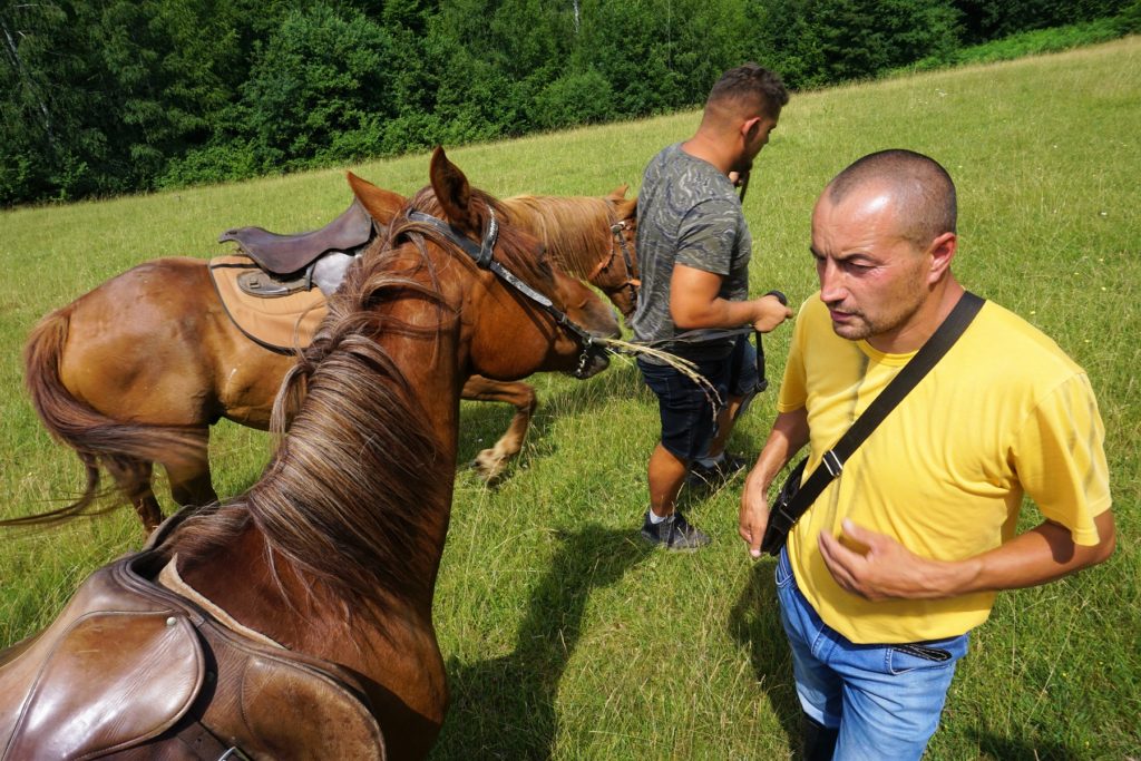 Ilijina ergela konja, Pavino Polje